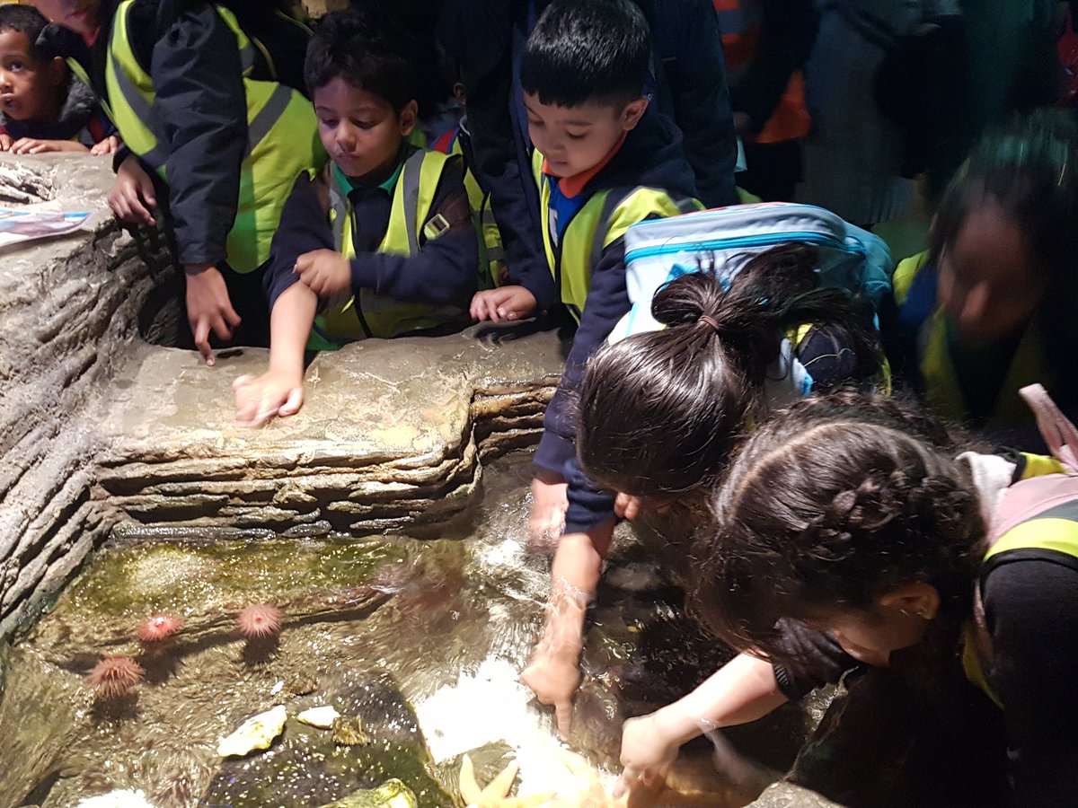 WoolmoreTweets's tweet image. Lime tree reception class had a whale of a time @london_aquarium #exploringLondon #amazingmarinelife