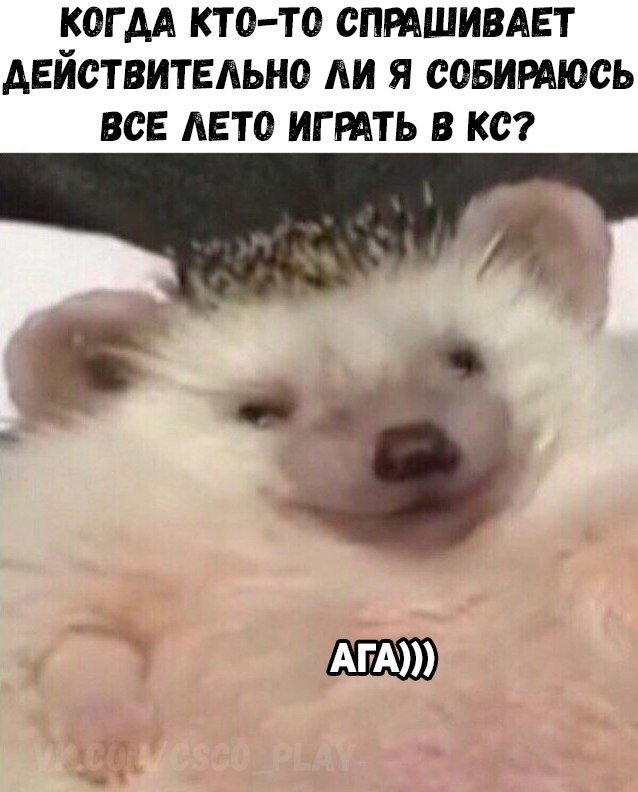 SecretSpell_ru's tweet photo. https://t.co/Nv5SWOwbiF