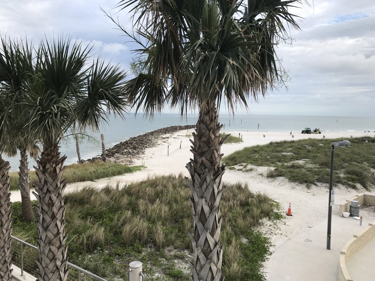 MATTSURRENCY's tweet image. Taking in the view of Clearwater for a few moments before sitting in meetings all day to improve communities across our great state. #LoveFL @FLCities @FLCFinancialSvs #FMIT #LetCitiesWork