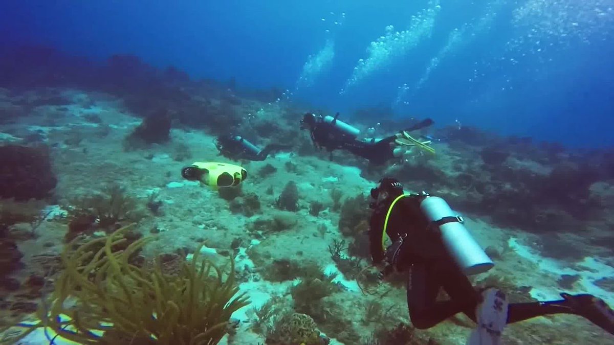 [LEVÉE DE FONDS]
Félicitations à Notilo +, startup Lyonnaise qui vient d'annoncer une levée de fonds de 1,9million€! A l'originie de <a href="/iBubbleCamera/">iBubble - Autonomous underwater drone</a>, le premier drone sous­-marin autonome qui filme toutes vos plongées, sans-fil.
CP 👉bit.ly/2JGRAN7