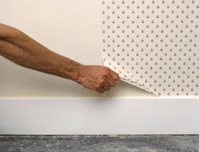 guiaparadecorar's tweet photo. Cómo quitar el papel pintado sin complicaciones ¡Aquí! 👇👇 #Decoraciones https://t.co/N0pqh3Noxl https://t.co/oDDagShZbB