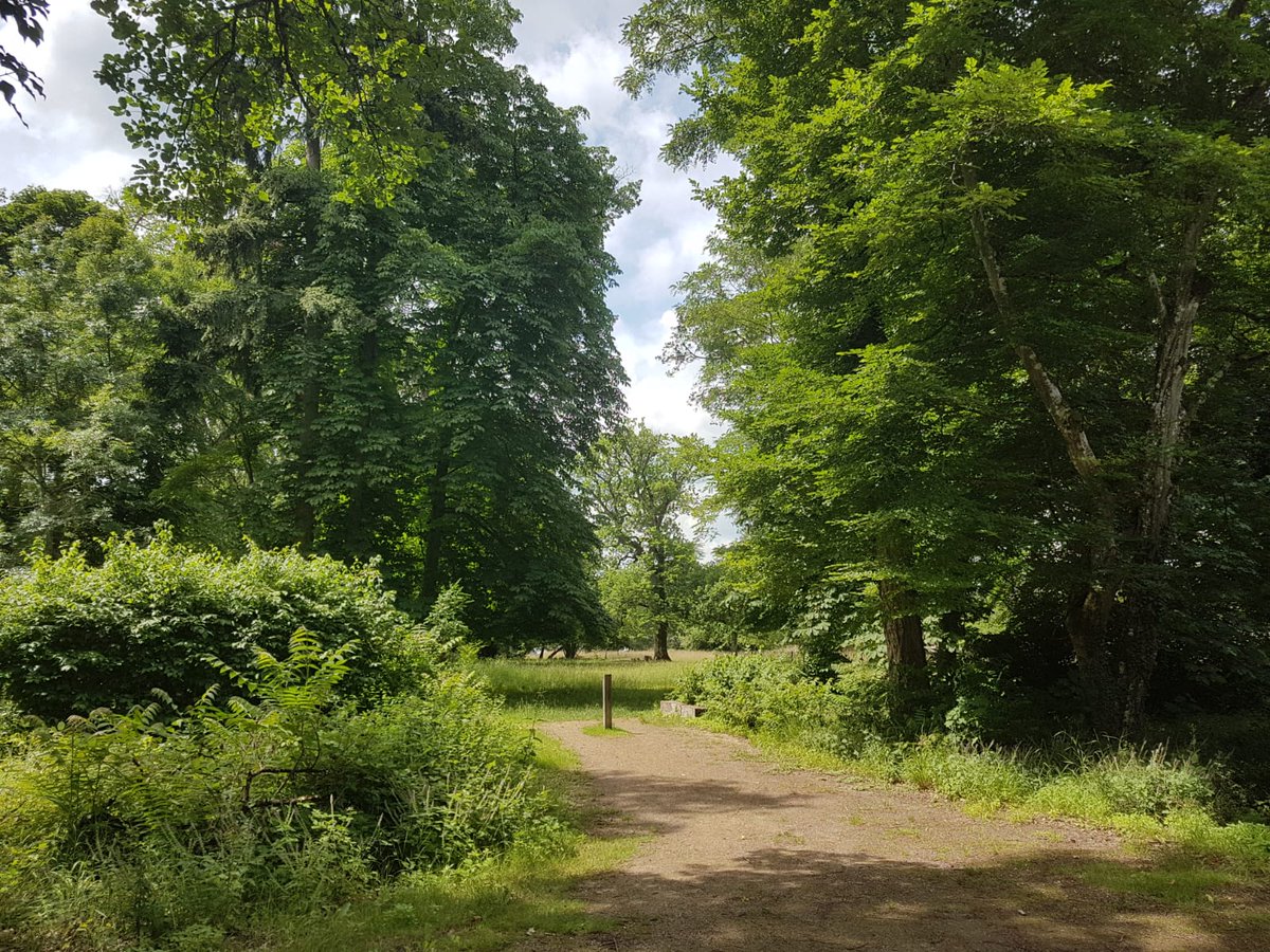fredvalletoux's tweet photo. Avec les maires du Pays de #Fontainebleau, invités par la Réserve de Biosphère #Unesco et sa présidente @isoline_millot, à mieux connaître ses activités & ses locaux à #Franchard. Tout près de l' "Oeil des Nations", plaque commémorant la création de @IUCN à Fontainebleau en 1948 https://t.co/TJdweaukw6