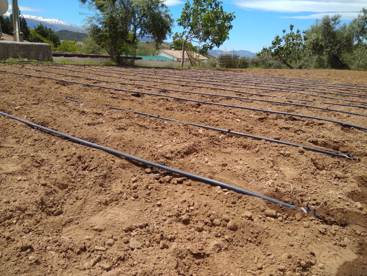 InnoPlant's tweet photo. Hoy nuestro equipo de #campo ha estado acondicionando una parcela de nuestra #fincaexperimental para sembrar un nuevo ensayo. Haremos unas pruebas en diferentes #cultivos de verano. Os enseñaremos progresos!!! https://t.co/4YoyboFLXR