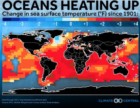 UNFCCC's tweet image. On #WorldOceanDay, @WMO highlights the crucial role of oceans for a stable #climate bit.ly/2xWtJ7i The ocean stores more than 90% of excess heat trapped by greenhouse gases, but its capacity to store heat is diminishing #COP24