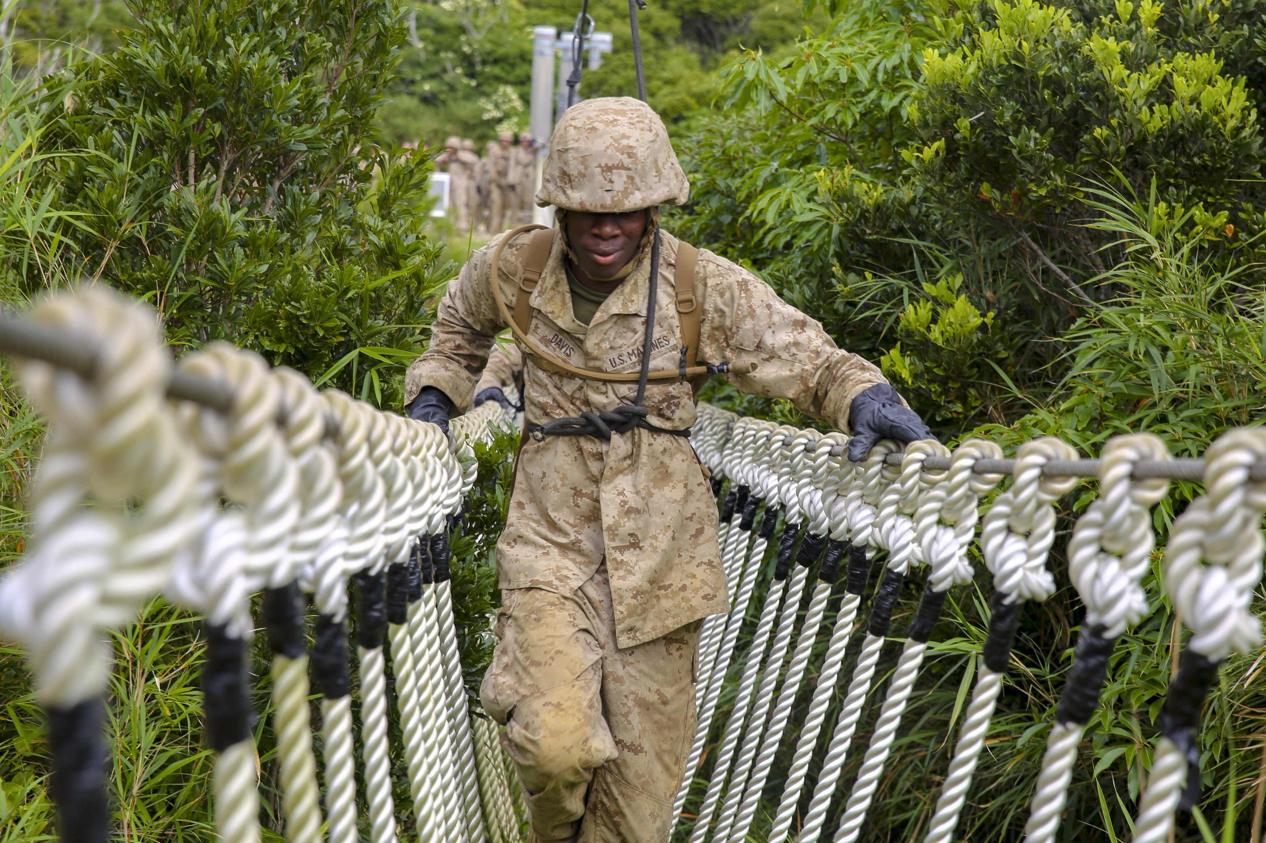 Department of Defense 🇺🇸 on X: #TuesdayTraining: A @USMC #Marine crosses  a rope bridge during jungle survival training in #Okinawa, #Japan 🇯🇵.  #KnowYourMil  / X