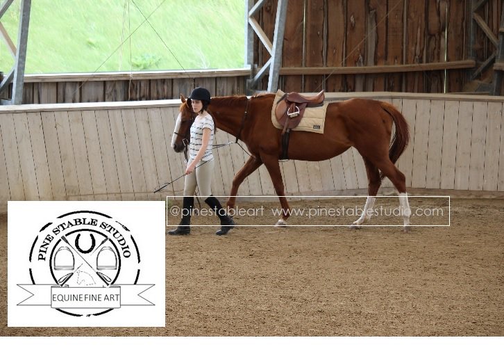 Remember to loosen the girth when cooling down your #horse in #saddle. #horses #equestrians #equines #horsehour