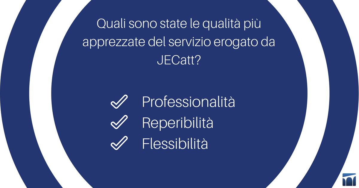 JECatt tweet media
