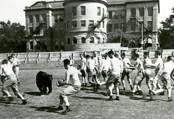 OsoMediaGroup's tweet photo. There's a thread on @RedditCFB right now about someone coming across the original entrance to Baylor's old Carroll Field.  In one of the comments, someone linked to this picture. https://t.co/lTyzoDx118