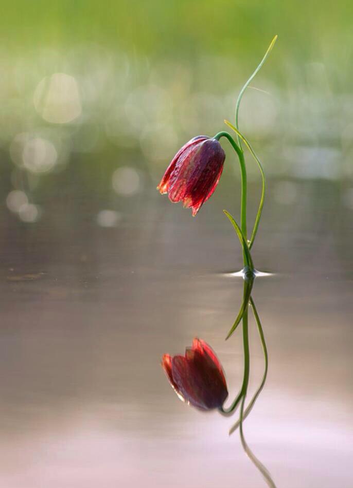 대어를 낚으려면
대어에게 맞는 먹이감을 주어라

피레미 먹이감으로는
피래미 밖에 잡을수 없는 것 이다