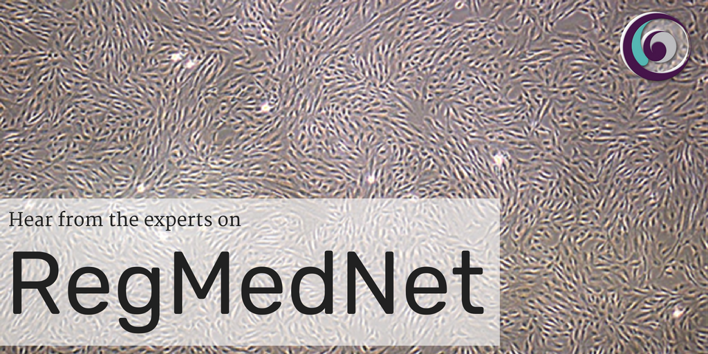 RegMedNet's tweet photo. Is understanding the biology of #MSCs is the first step to revealing their therapeutic potential? Find out more in this editorial from @STEMCELLTech. #RMNMSCs #stemcells #celltherapy https://t.co/uQ1Sb6Llu8 https://t.co/KHW3uWWAf6