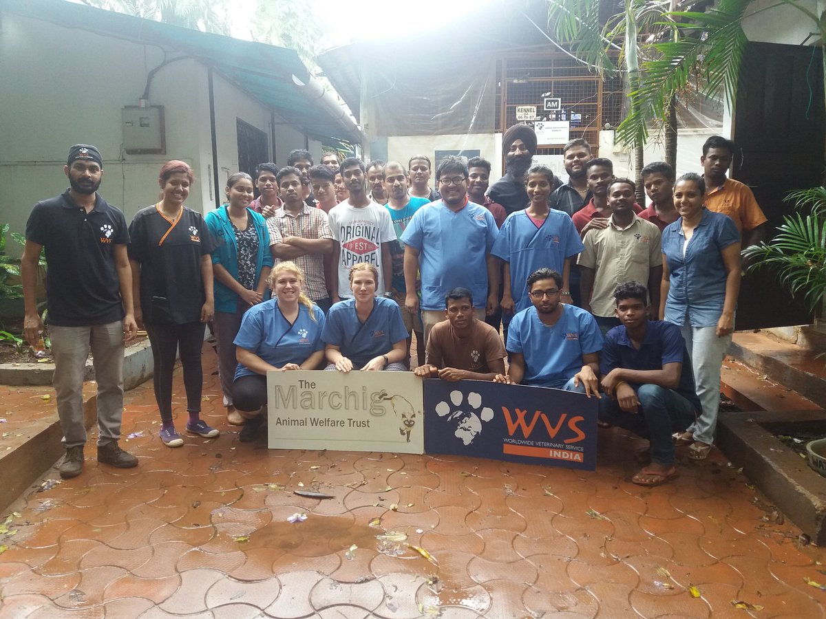 GoaWvs's tweet photo. Congratulations to the WVS Vet students from India Nepal and Great Britain who completed their ABC training course today. It’s been great having you here to help sterilise hundreds of dogs in Goa. Thank you🐕🐈
#keepspaying #wvscharity #savinglives #animalwelfare #northgoa https://t.co/2297qWtr6q