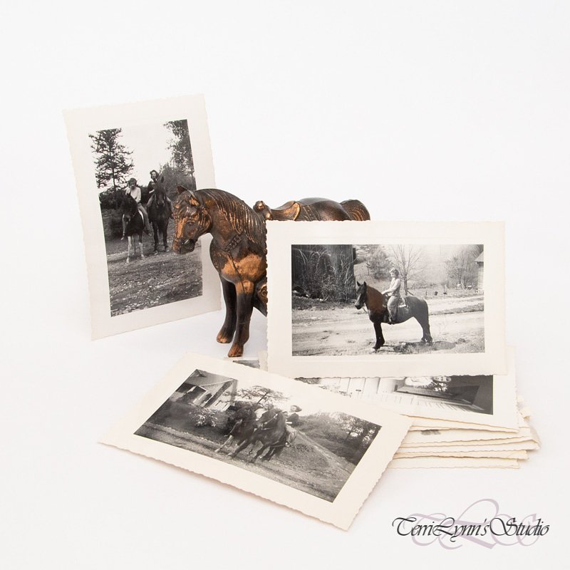 HoneyDropPhoto's tweet photo. Summer is just gearing up! Bring your images to Terri Lynn's Studio for some digital restoration!

#terrilynnsstudio #digitalrestoration #antique #imagerestoration #Photoshop #antique #familyphotos #animals #photography #fortmill #charlotte #restoration #retouching https://t.co/jolwo9rOfL