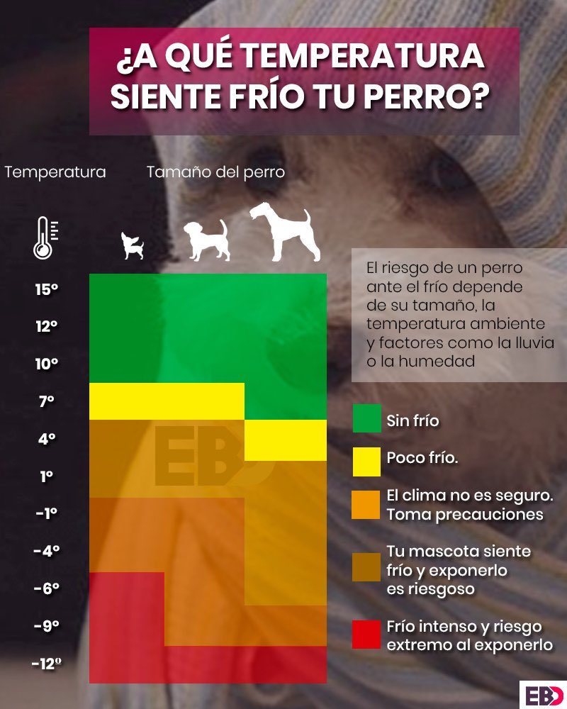 A cuidar a los #perritos y #mascotas del frío, se viene un #findesemana con lluvia y bajas temperaturas 🌧❄️