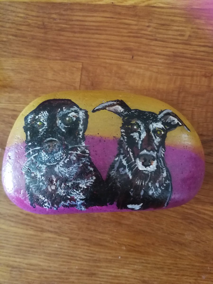 SuzieSAS's tweet photo. Today I received a surprise parcel from my big sis @bwadebrownowl A painted stone of my furbabies lost to Rainbow Bridge #MrRod #MissTreacle I've been a greetin riot π but I love it π https://t.co/j1aLXTZH3Y