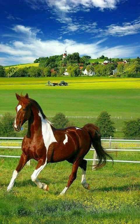 Mary_Zarifah's tweet photo. #Happy_Friday #8June2018
#بنت_المسيح https://t.co/STvOKoqByu