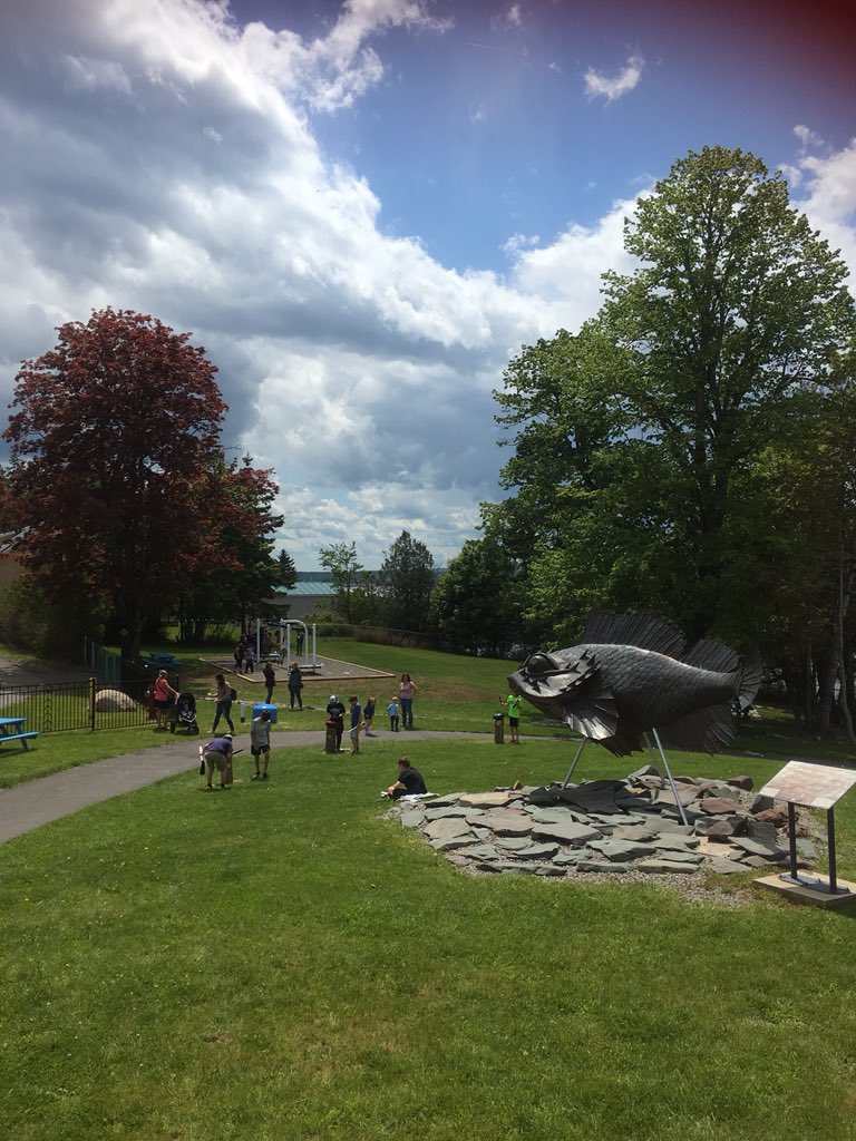 It’s a beautiful #WorldOceansDay2018 at the Aquarium! Free admission 10-8! #worldoceansweek #explorenb #fundystartshere