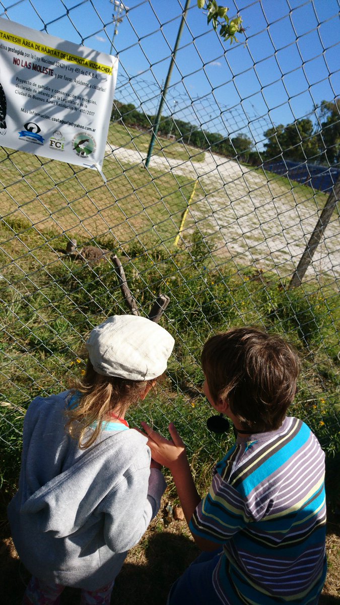 Libros del Tatú tweet media