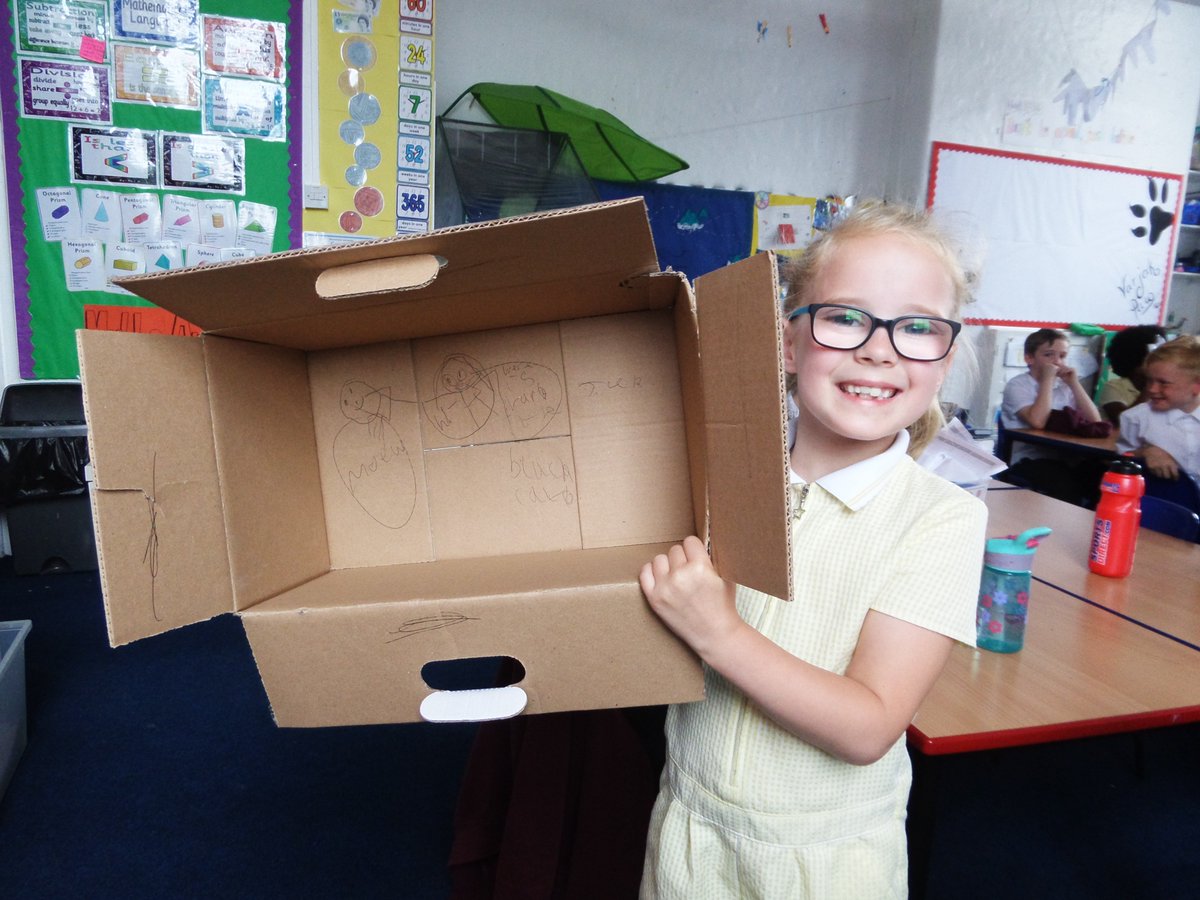 St_JamesYear3's tweet image. Check out Teddie and Millie-Rose, they have been inspired by our book &apos;Varjak Paw&apos; and created their own homes for cats. #3Norway #homeschoolproject