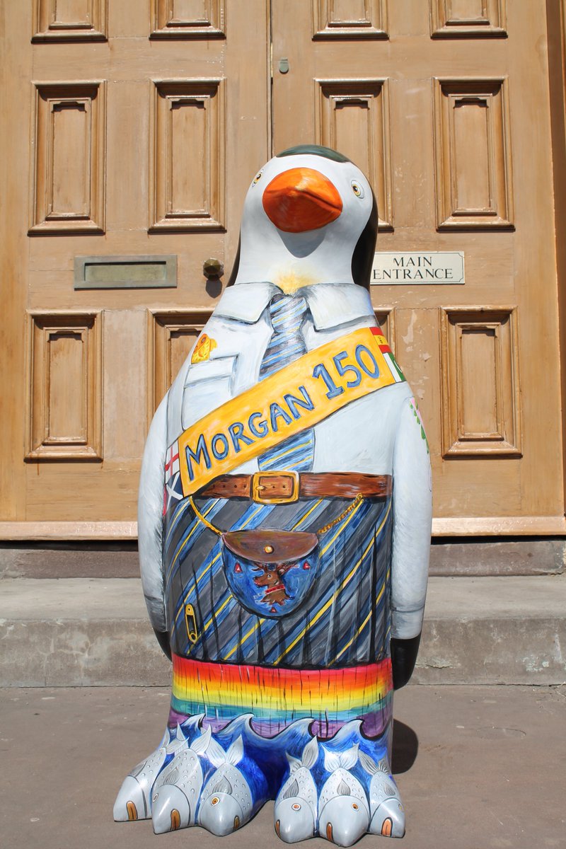 MorganartDD's tweet photo. #maggiesbabypenguin#maggiesdundee#PenguinParade @maggiespenguins@@morganacademy1 https://t.co/dgQSDe4nqj