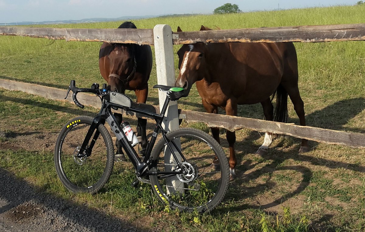 AlesZavoral's tweet photo. "Look at the bike, bro!"
"Yeah, it's the #3TExploroLTD!"
"It's awesome. Now I see why he's riding it rather than us."
:-)
@3Tbike #LBSSport #Bottico https://t.co/wtAH9Qa1Ls