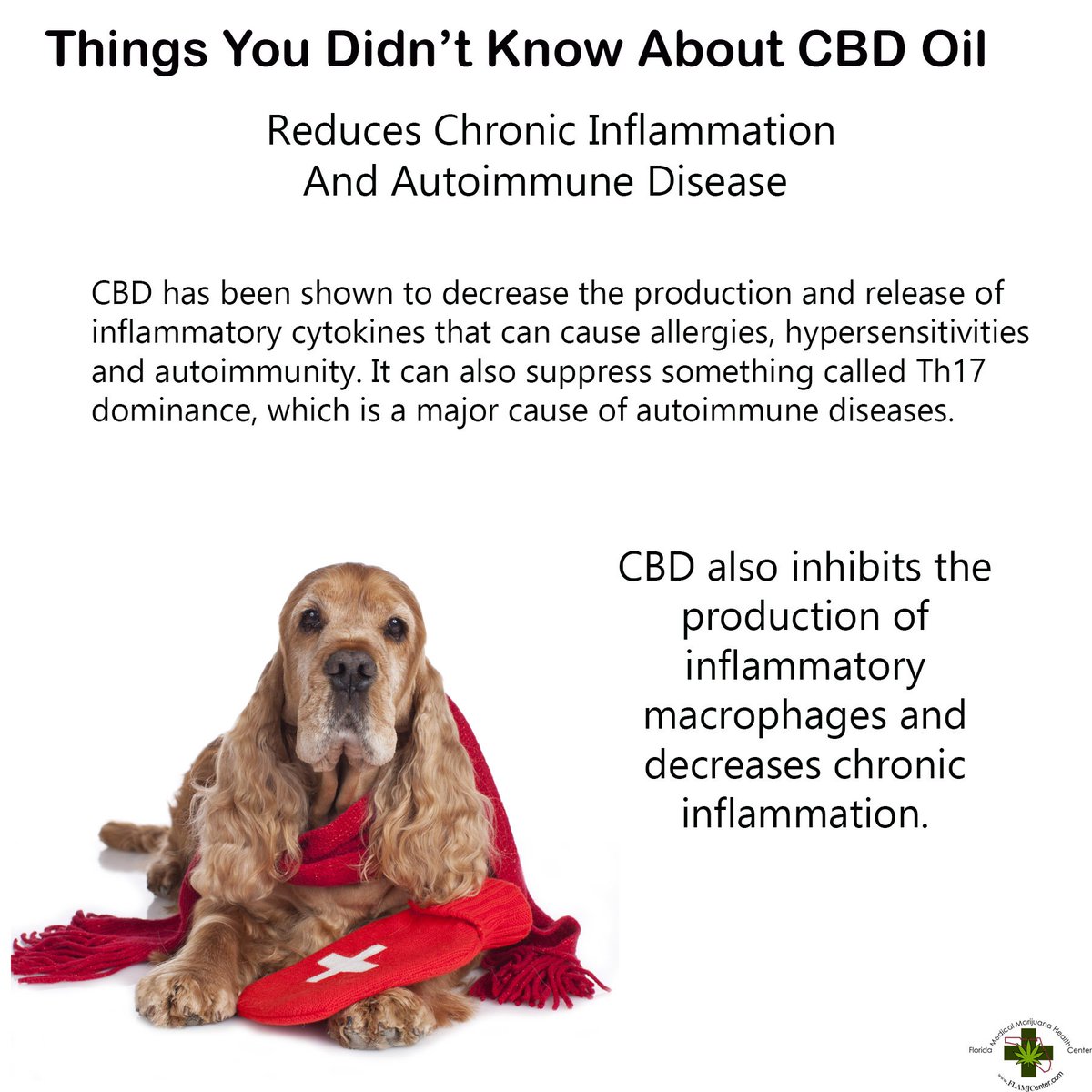 FloridMarijuana's tweet photo. Share this post 

Visit our Shop : https://t.co/TXbvMqn5P5 

Follow US on Facebook: https://t.co/ACoazsbwW1 

#CBDOil #4Pets #Dogs https://t.co/V3v9l1PU9L