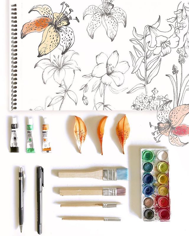 patternbank's tweet photo. https://t.co/WK7Jd5MFJo
・・・
🌟 work in progress 🌟#tools #florals #exclusive #surfacedesign #sketch #flowers #design #linedrawing #printdevelopment #inspiration #lily ✏️💖 #newonpatternbank #patternbank @patternbank . https://t.co/brFBy2Pljh