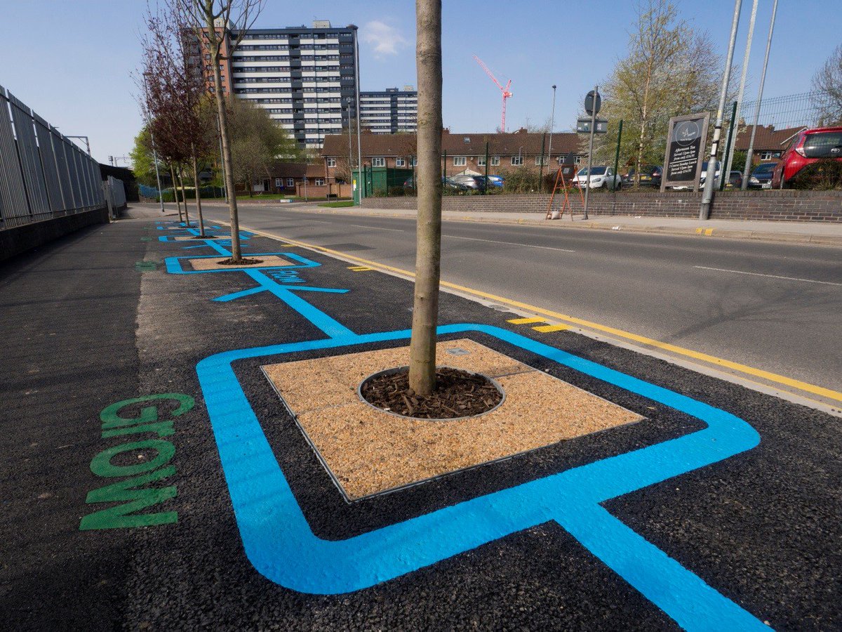 Capita_LPS's tweet photo. Our #greeninfrastructure team planted nine trees on East Ordsall Lane, the species of which had been chosen specifically to maximise air quality improvement. #greenweek2018 Find out more, here: https://t.co/65QZ8VkhLm https://t.co/K1sjMj7XlS