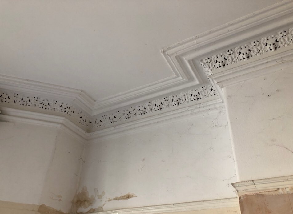 ChrisGargan1's tweet photo. Stunning period features being revealed as we strip out the property, including this beautiful cornicing &amp; the Minton tiles to the grand entrance in our new Sefton Park development. Hopefully we can salvage &amp; restore most of these original Victorian features during the conversion https://t.co/xMpiLCoMz8