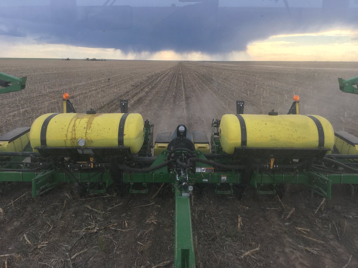msimsW900L's tweet photo. #plant18 #sunflowers18 feels good to be out sowing watching the rain come in. https://t.co/FfcVrcIgQk