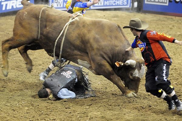 therodeotrail's tweet photo. Everyday should be thank a bullfighter day. Especially today.. Happy #BullfighterFriday @ShortyGorham . We hope you have an amazing summer down the trail 🤘🏻 https://t.co/9Ti5EIYWWj