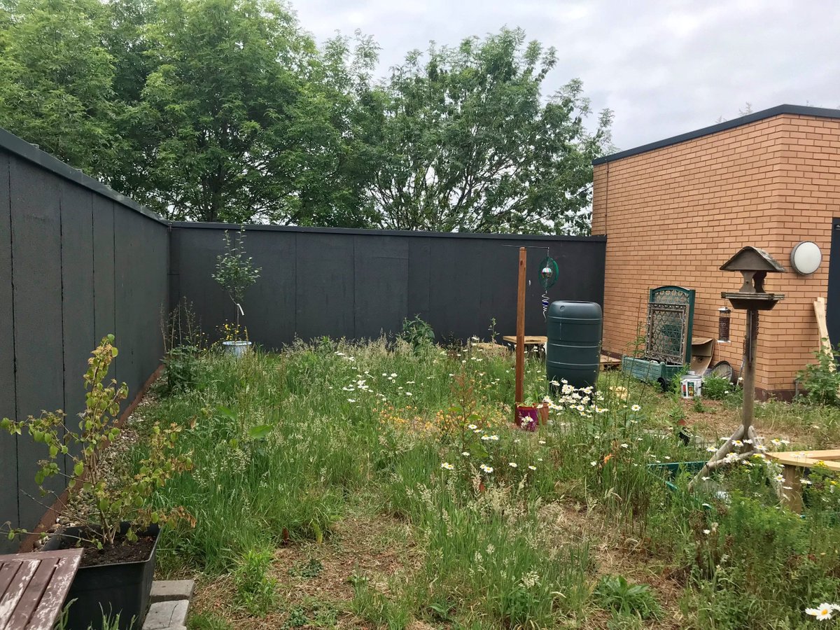 AbcyLiby's tweet photo. We've just had a lovely afternoon visit to the #CARBSgarden @cardiffbusiness potted some passion flower and aloe vera. 🌿🌾🌼 https://t.co/0mJYmnbHbJ