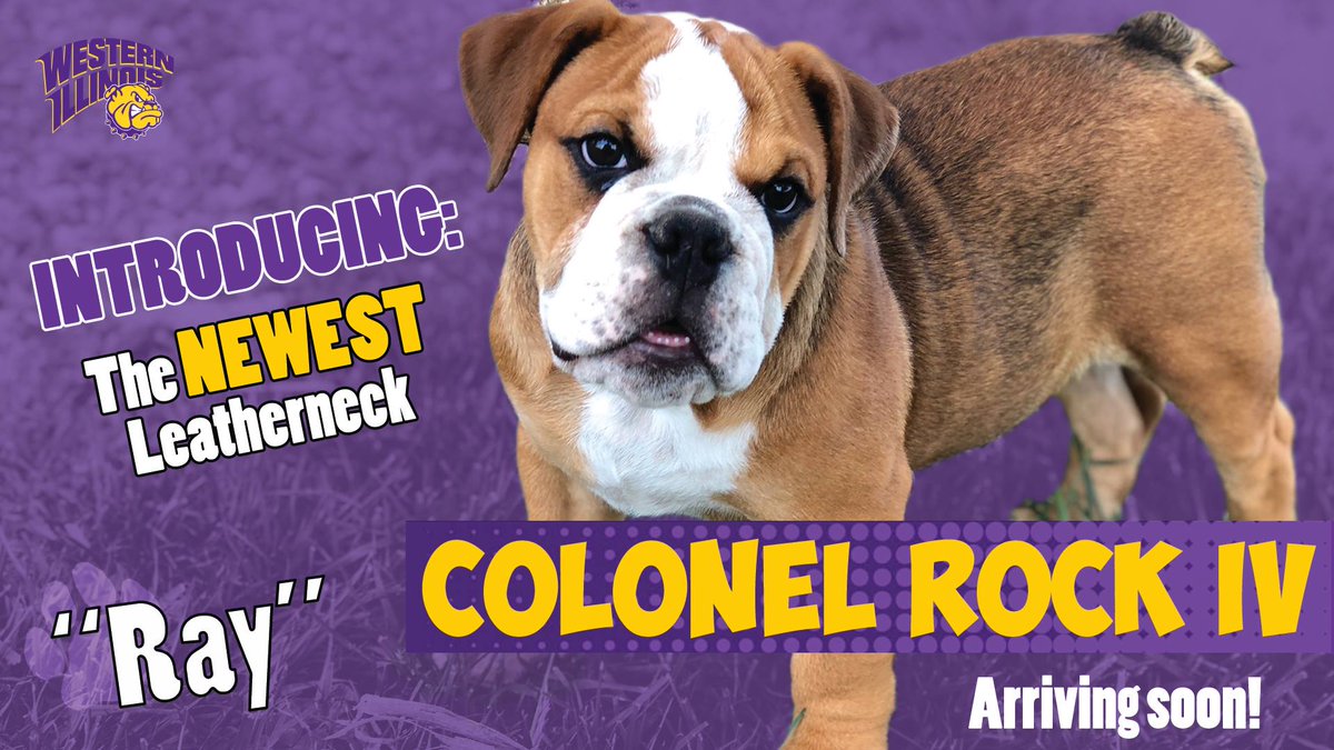 #FeelGoodFriday Introducing (soon!) the newest member of our #Leatherneck family. #CutenessOverload #WIU