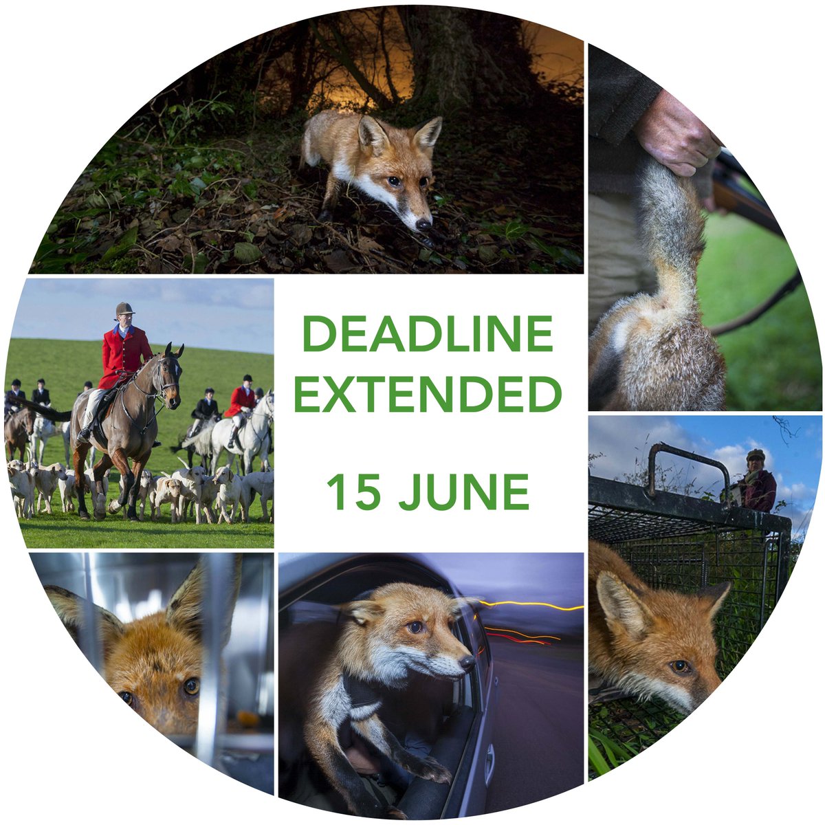 Wildscreen tweet media