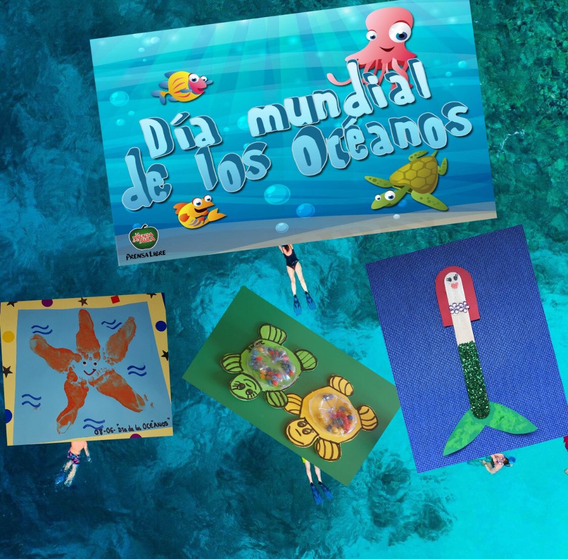AlbenizAluche's tweet photo. Hoy hemos celebrado el #DíaMundialDeLosOcéanos haciendo tortugas, estrellas de mar y sirenas. 
💪😊🐬🐋🌊🐠🦀🐙🐳 https://t.co/L2Xdtx8zaL