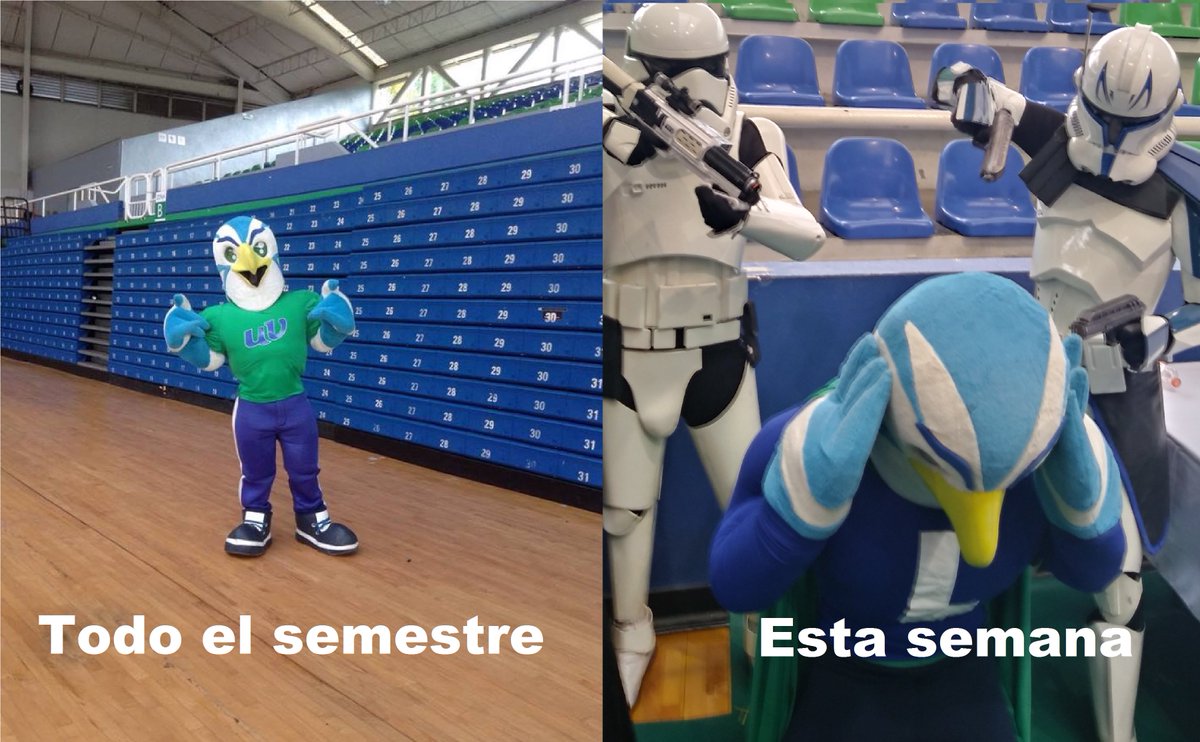 Sólo unos días más.