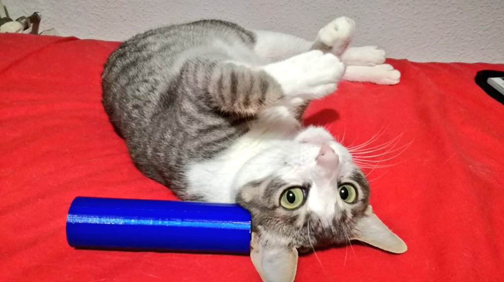 InfoBiottery's tweet photo. A todos nos gusta la nueva batería Biottery, segura y respetuosa con el medio ambiente 🐱🌿🌍 https://t.co/nY8uQBzMyv