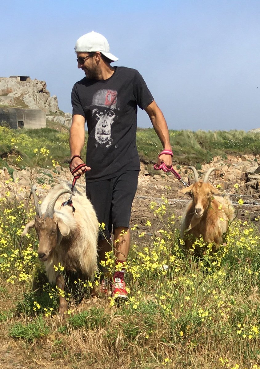 GuernseyWander's tweet photo. 💚 meeting people from on/off island whilst out walking around Guernsey, be it on the cliff or coastal paths, also enjoy unusual incidents that occur.
Today, in the Grande Rocques area, I met a chap and his two goats out for a walk around the rocky foreshore, as you do! https://t.co/N3XaPLYxpe