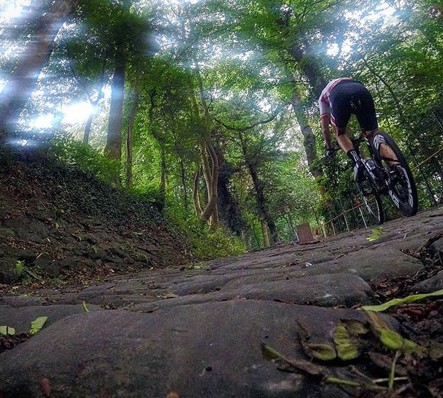 TeamWurtele's tweet photo. So cool to be able to ride such an iconic cycling route in a triathlon! 2x up the Muur van Geraardsbergen this Sunday in @CFGbergen. Giddy up! https://t.co/UDV6z0QmWI https://t.co/7rTqZm5xIO