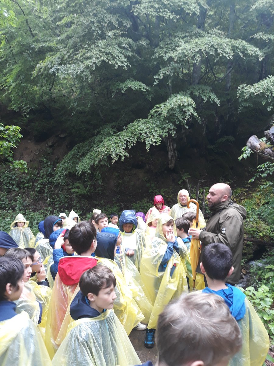 2cicloauseva1's tweet photo. Senderismo por el Hayedo de Montegrande a 1100 m de altura... la lluvia no puede con nosotros... discúlpadnos la falta de comunicación ya que llevamos todo el día sin cobertura https://t.co/oufAfdTtj8