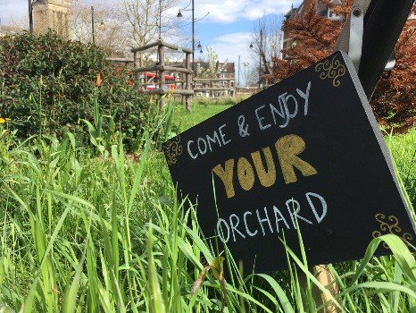 CRP_CleanAir's tweet photo. .@BrixtonBID has transformed an un-used plot of land into #BrixtonOrchard. 35🌳 to combat pollution, ⬆️awareness of #airpollution &amp; a 😀space for the community to come together. Find out about other great projects at the #CleanAirTogether exhibition at @nlalondon https://t.co/aWw32wBtd9