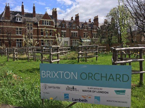CRP_CleanAir's tweet photo. .@BrixtonBID has transformed an un-used plot of land into #BrixtonOrchard. 35🌳 to combat pollution, ⬆️awareness of #airpollution &amp; a 😀space for the community to come together. Find out about other great projects at the #CleanAirTogether exhibition at @nlalondon https://t.co/aWw32wBtd9