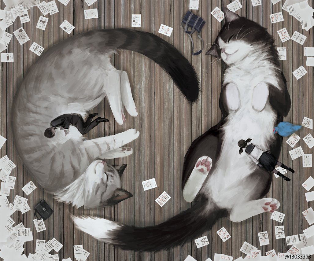 cat animal animal focus no humans lying sleeping closed eyes  illustration images