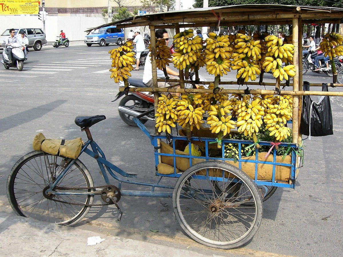 MeinDienstrad's tweet photo. So kann ein Lastenrad auch aussehen. Jemand Lust auf eine Banane? 🍌🚲
Infos zum Leasen von Diensträdern findet ihr auch auf: https://t.co/YVcGXGtCEO

Quelle: Pixels https://t.co/oYjmULxn0O