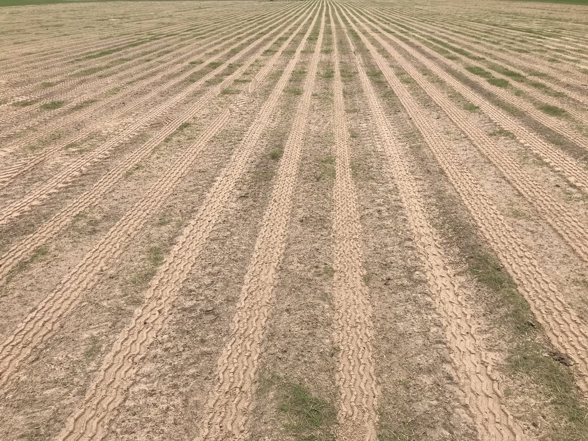 WoodwardTCare's tweet photo. Secondary drainage @broadstreetrfc completed this morning.
@WaspsRugby
@RFUWarwickshire
@CampeyTurfCare
#Topdrain #secondarydrainage https://t.co/2qj7NggWNj