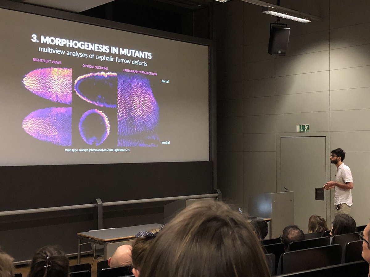 YWHsieh's tweet photo. Bruno C. Vellutini @nelas telling us about head/trunk boundary specification using fly model in @mpicbg #FridaySeminar. https://t.co/QUwlQsrUpJ