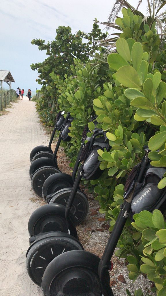 VisitBradenton's tweet photo. RT @AMI_Adventure: Segways are such a fun and great way to explore Anna Maria Island! Grab a friend and come book your Segway fun!
-
#segway #explore #exploreami #exploreannamaria #annamariaisland #ami #adventure #myannamaria #suninthefun #SundayFunday https://t.co/89e3g8FRTg