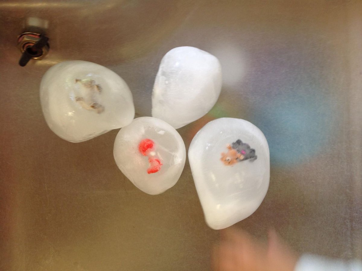 SpringNurseryH's tweet photo. Butterflies (0-2mnths) Enjoyed playing with iceplay again, this time the ice blocks contained a different type of toy.
Then they made a collective extra large painting using hands and feet on the floor, this was excellent fun and great for sensory exploration. #Springgrowlearn https://t.co/Ug1IBwgnGF