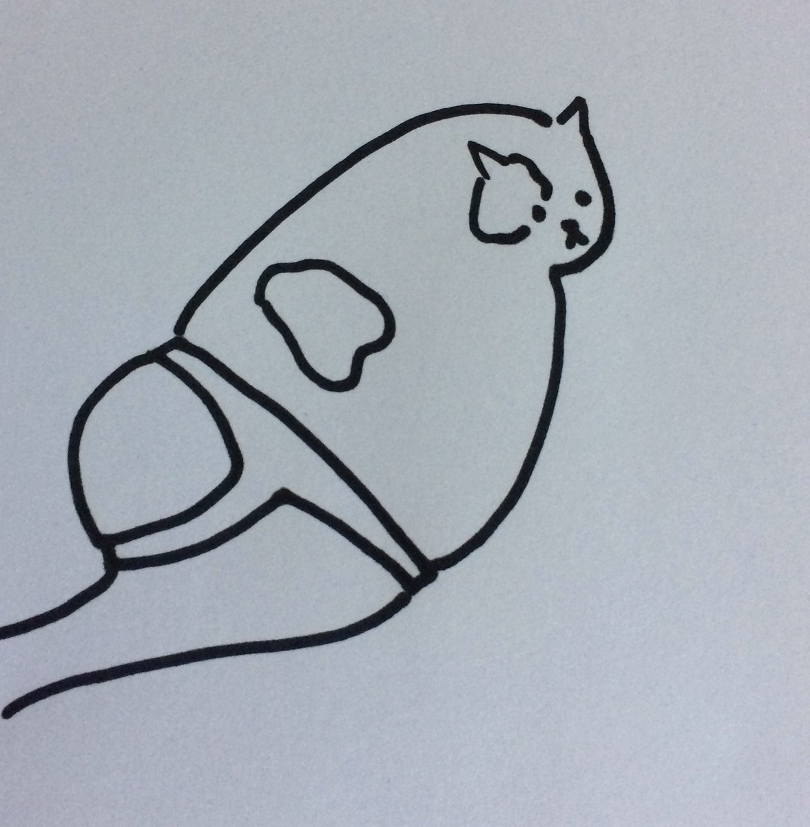 poorlycatdraw's tweet photo. oh... hey...
hello.. https://t.co/HuD8NreSOC