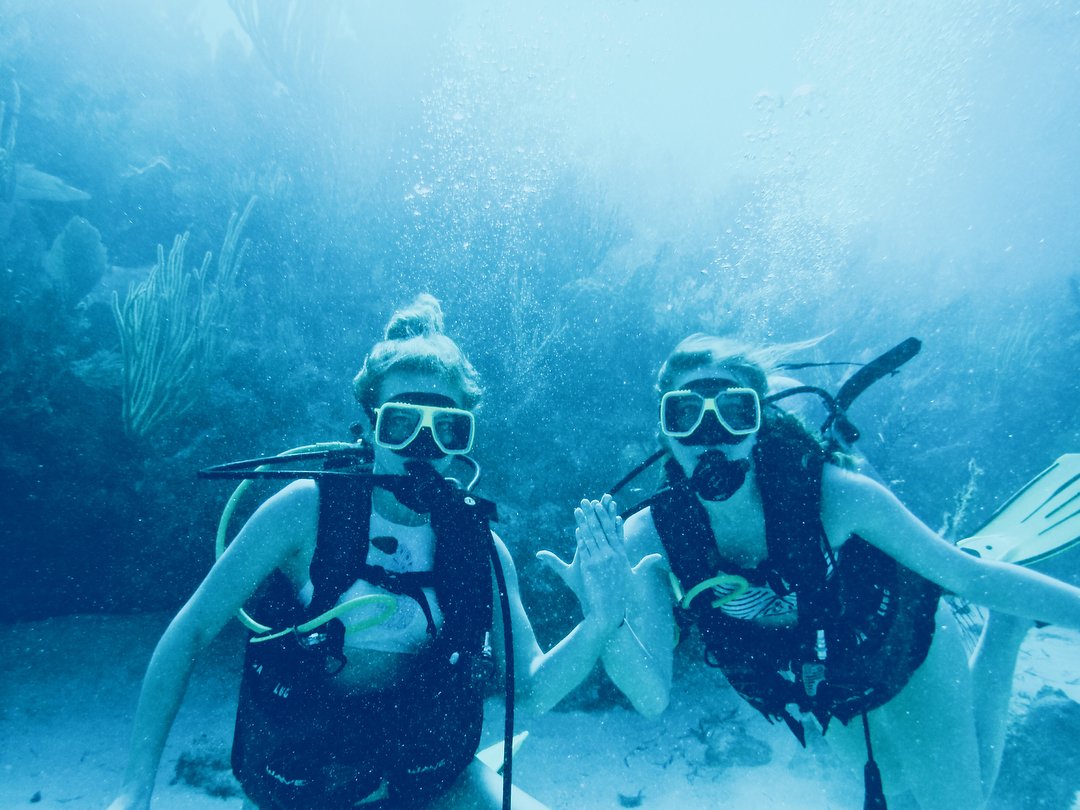 It’s World Oceans Day! 🌎🌊🐠 Visit <a href="/worldoceansday/">World Ocean Day</a> to learn simple steps on how to protect and celebrate our planet’s beautiful oceans! #WorldOceansDay <a href="/DrakeAlphaPhi/">Drake Alpha Phi</a>