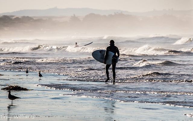 Pismo Beach tweet media